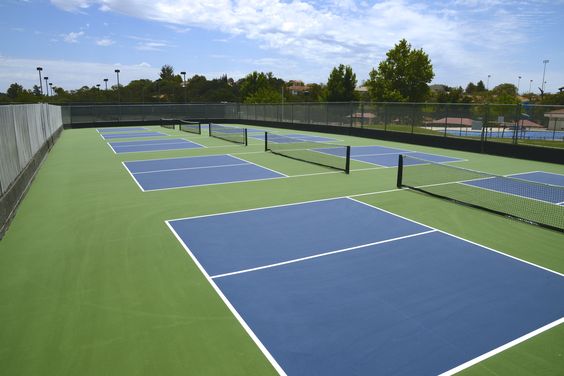 pickleball the sport for seniors