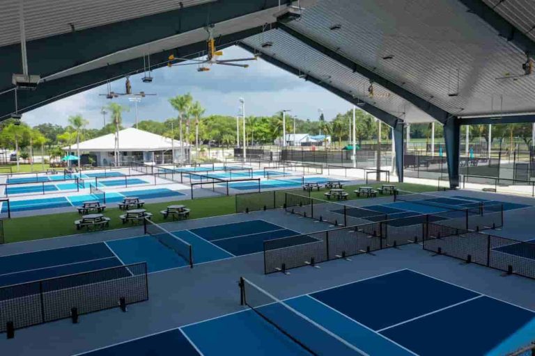 PICKLEBABLL TOPSPIN BACKHAND